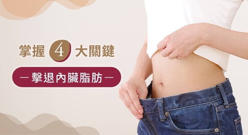 內臟脂肪怎麼減？掌握飲食、運動、睡眠與壓力管理消除內臟脂肪！